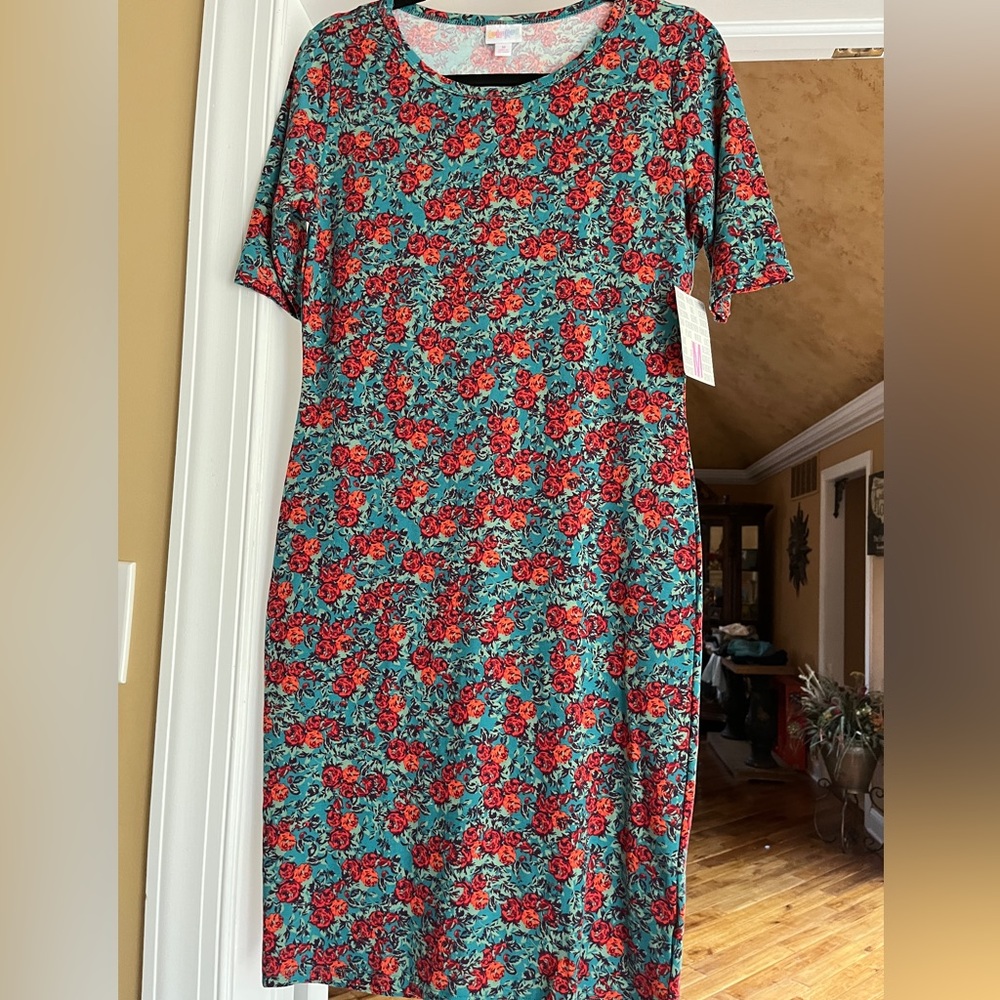 NWT Beautiful mini rose print Lularoe Julia dress size M